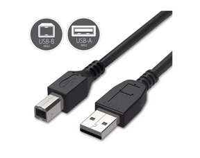 Cable de impresora HP USB TO USB-B V2.0